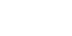 ex icon
